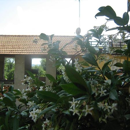 Fattoria Del Pino Bed and Breakfast Orta San Giulio Exteriör bild