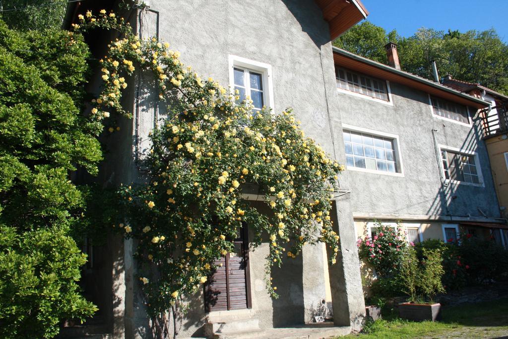 Fattoria Del Pino Bed and Breakfast Orta San Giulio Exteriör bild