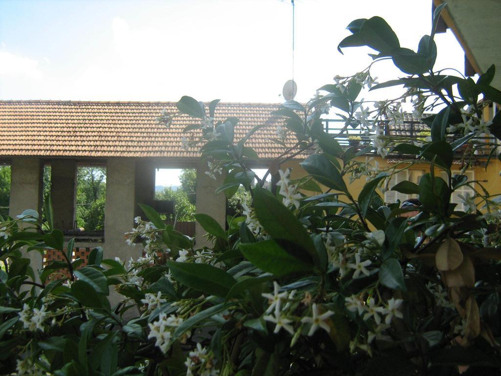Fattoria Del Pino Bed and Breakfast Orta San Giulio Exteriör bild