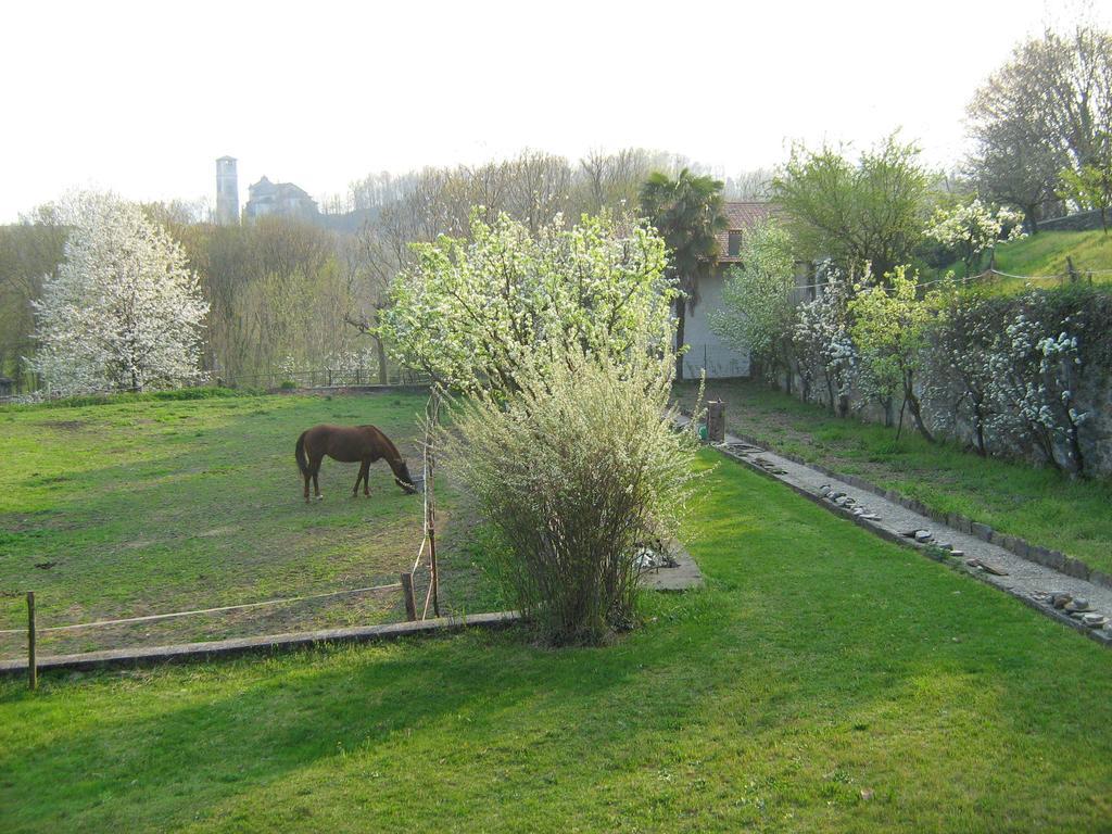 Fattoria Del Pino Bed and Breakfast Orta San Giulio Exteriör bild
