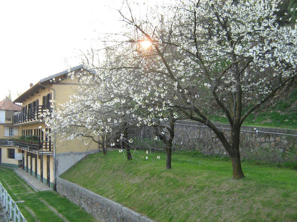 Fattoria Del Pino Bed and Breakfast Orta San Giulio Exteriör bild