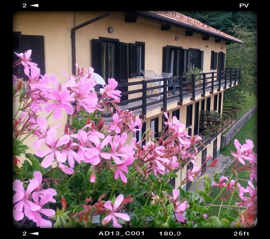 Fattoria Del Pino Bed and Breakfast Orta San Giulio Exteriör bild